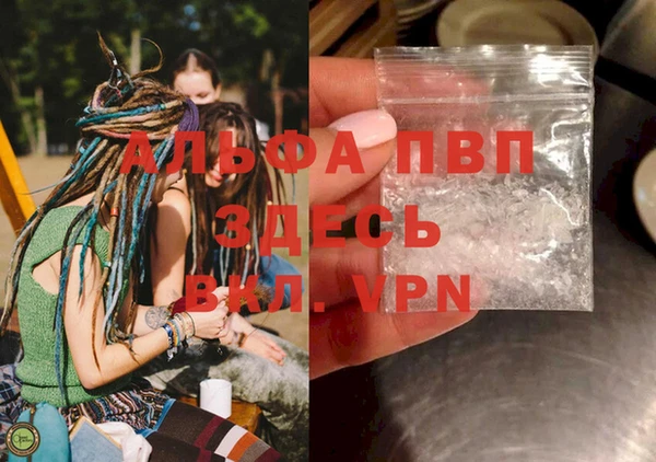 спайс Калининец