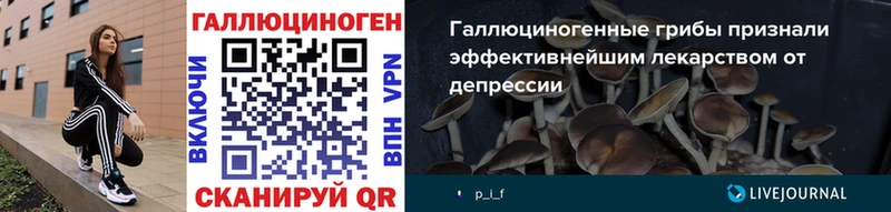 Псилоцибиновые грибы мицелий  Тосно 