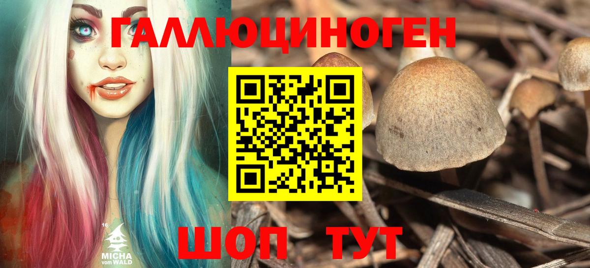 Псилоцибиновые грибы Psilocybine cubensis  Псилоцибиновые грибы GOLDEN TEACHER  Вход с VPN  Тосно 